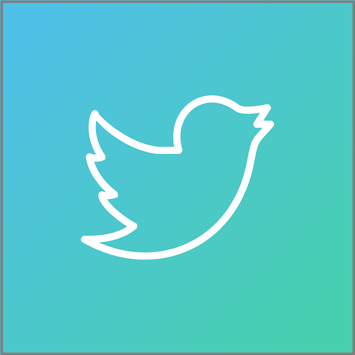 Follow WilyDeals on Twitter
